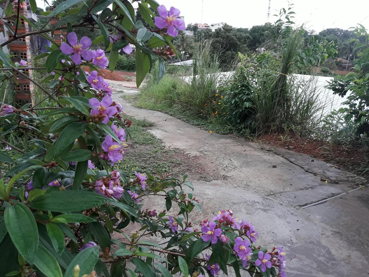 Be Home Hostel Phu Quoc Bagian luar foto