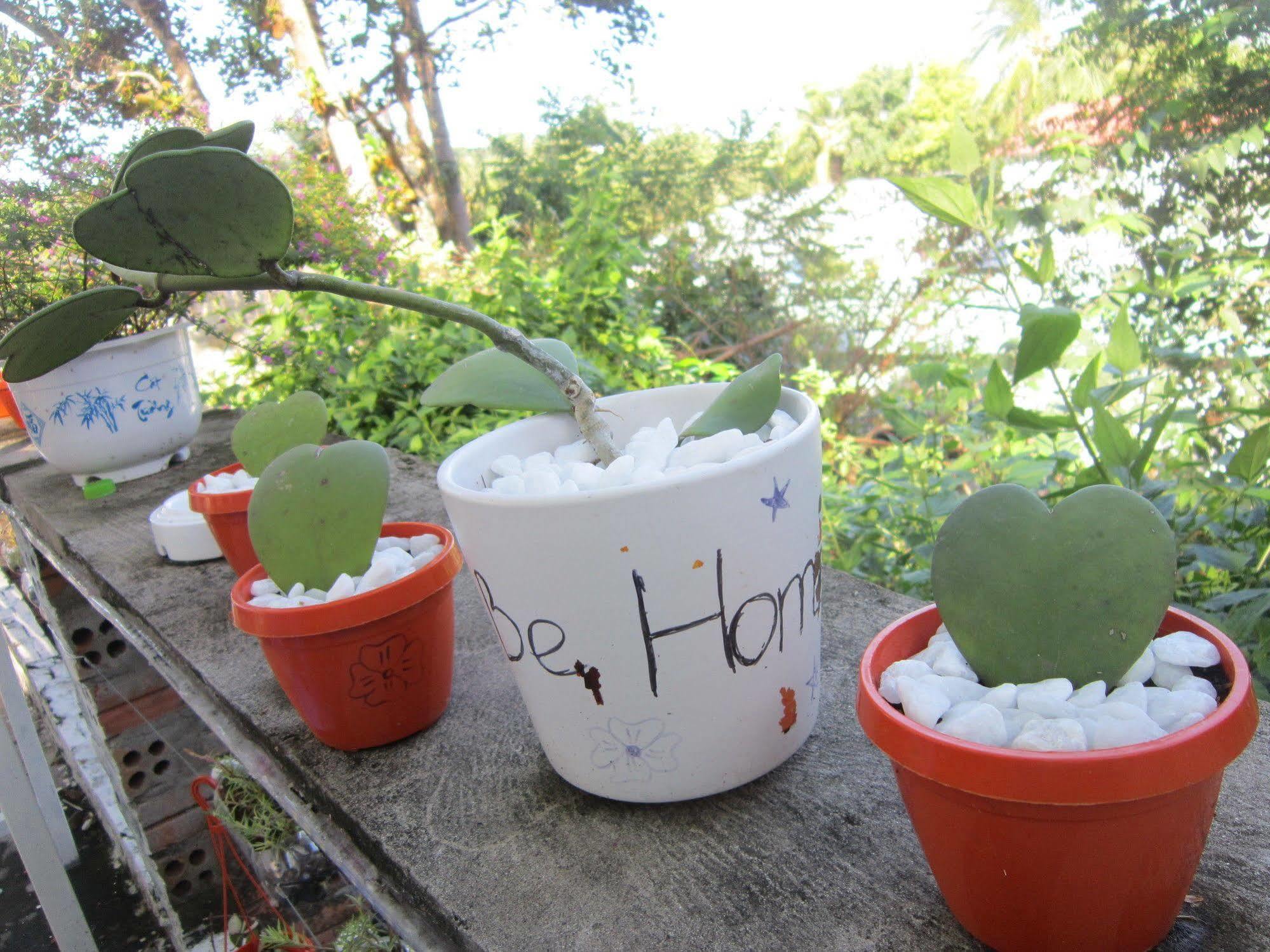 Be Home Hostel Phu Quoc Bagian luar foto