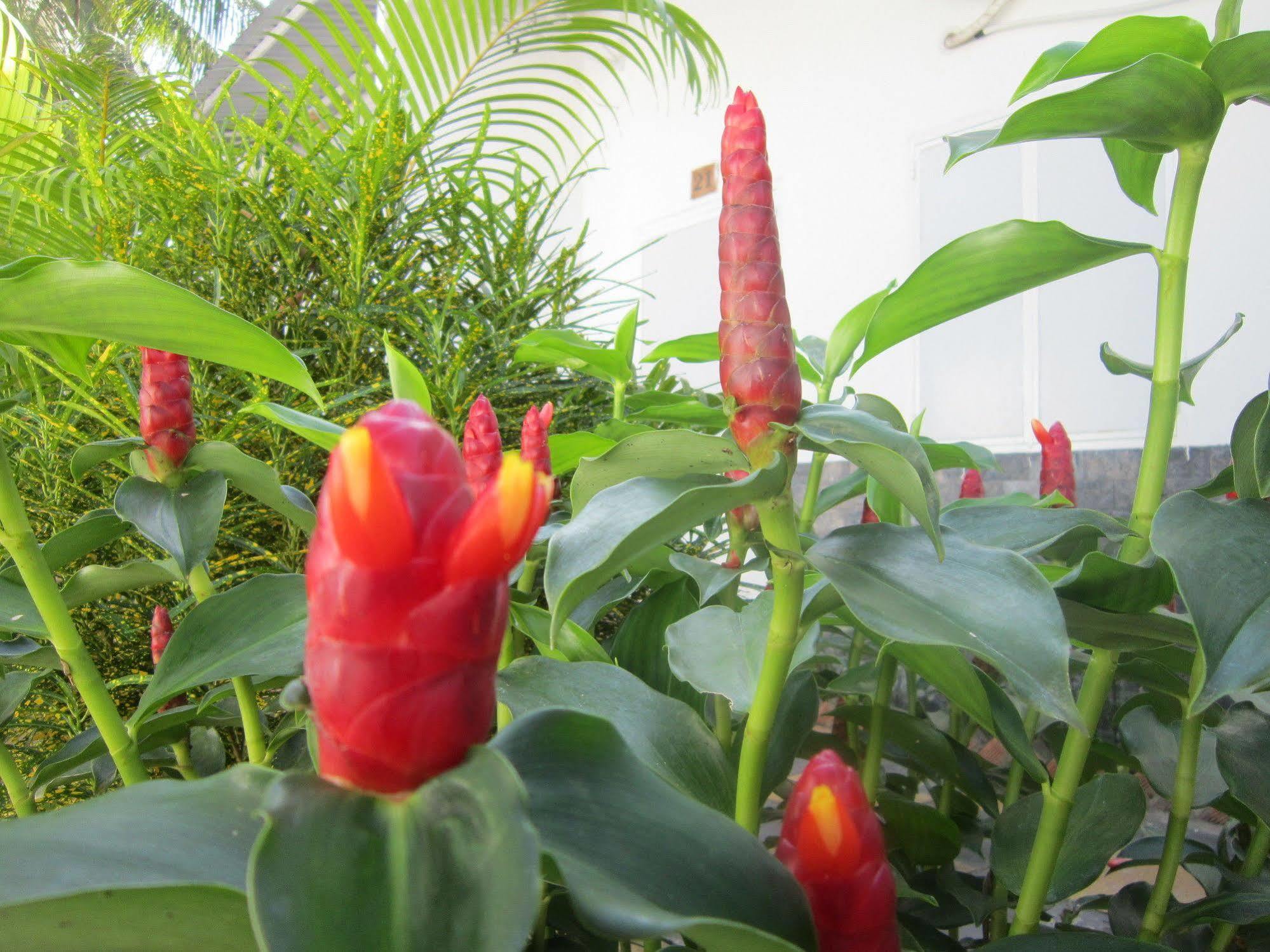 Be Home Hostel Phu Quoc Bagian luar foto